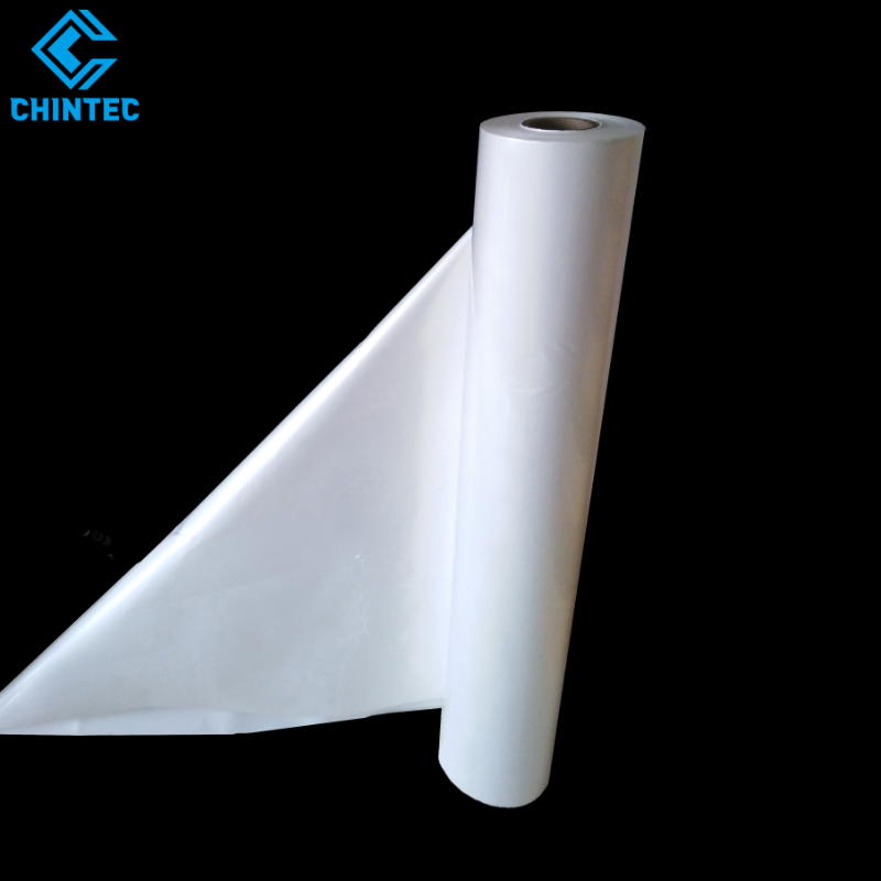 Water Resistant Paper, Tear Resistant Paper Supplier and Manufacturer